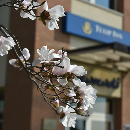 Tulip Turin West 3* Rivoli (Turin)