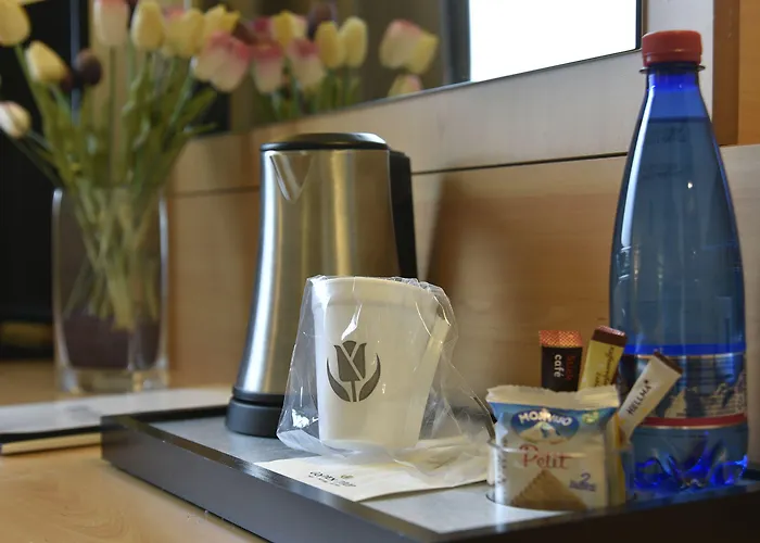 Tulip Turin West Hotel 3*